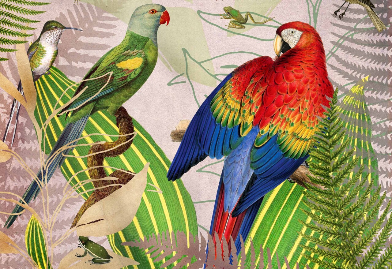 Parrot artwork on canvas at the Botanist