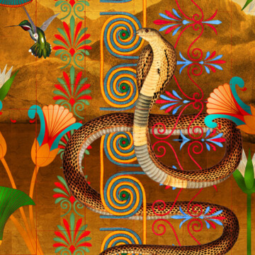 Cobra snake crop of the California Dreaming wallpaper design