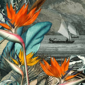 Plantain forest detail crop showing birds of paradise botanical and distant sail ships