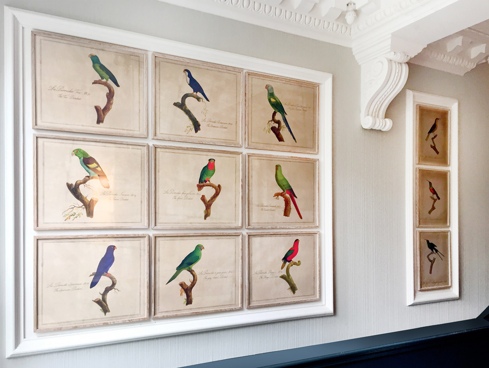 Parrot series in the Argyll House staircase corridor