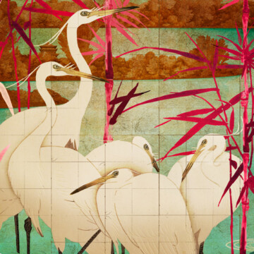 Hokkaido marsh cranes clustered on the shore amongst pink reeds