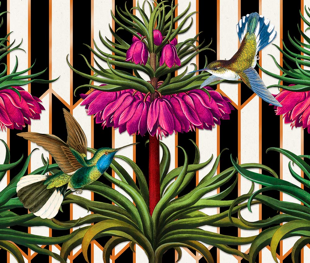 A large floral botanical sits centrally with two small hummingbirds. A white and black graphic pattern outlined in gold makes up the background.