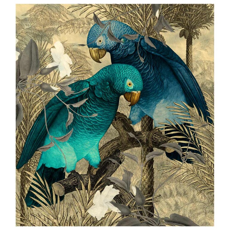 Pair of African grey parrots in teal and azure set against a soft antique background