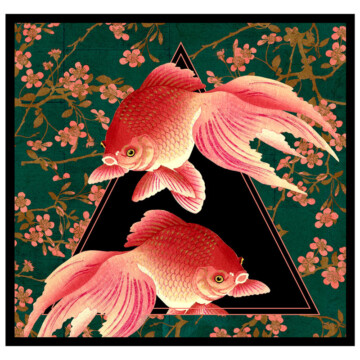 Red goldfish set against a dark graphic background and a cherry blossom pattern border