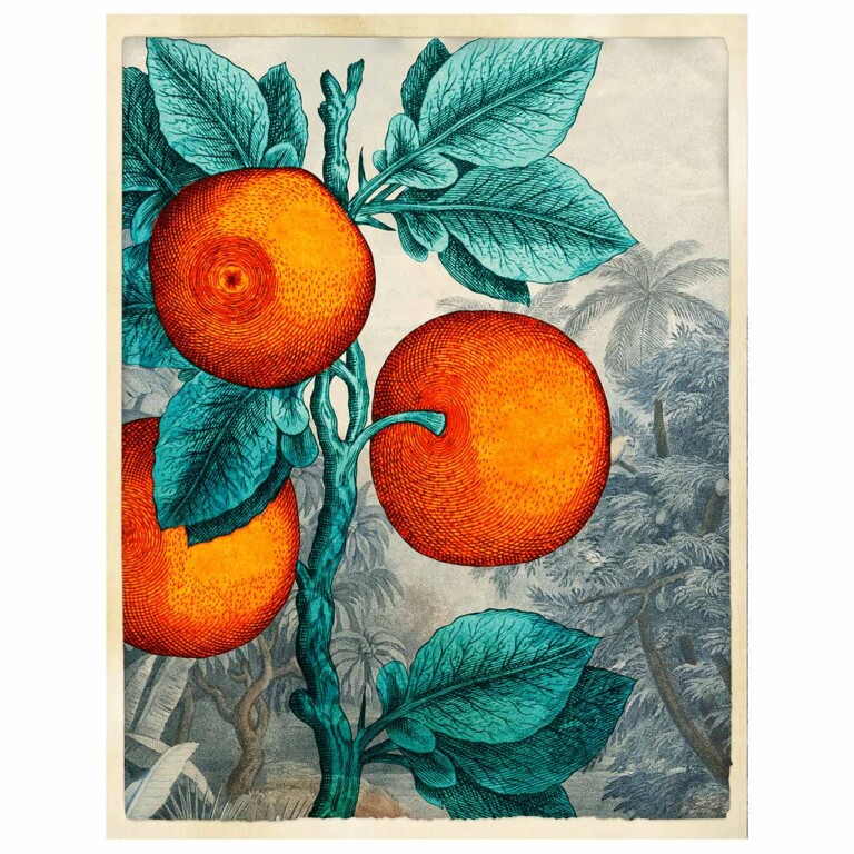 Vivid oranges growing from a teal plant, the background is a muted blue tropical landscape