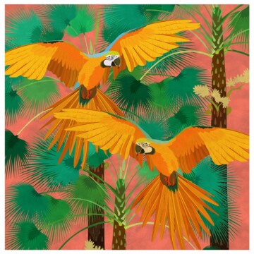 pair of macaw birds in flight, both in bright yellow with a tropical palm background