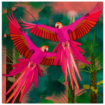 pair of macaw birds in flight, both in vivid hot pink with a tropical palm background