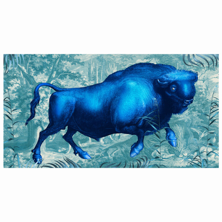 Bison Edition in blue