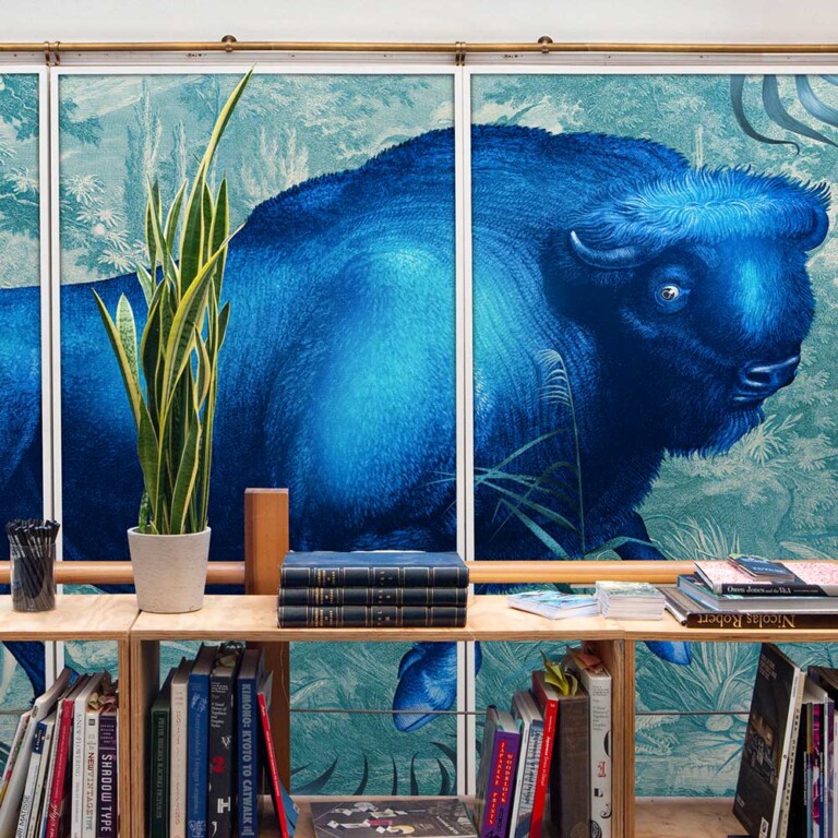 Bison in blue hanging in our west london studio