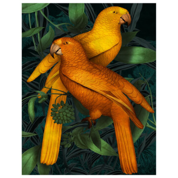Pair of Spix's Macaw parrots in gold against an inky foliage background