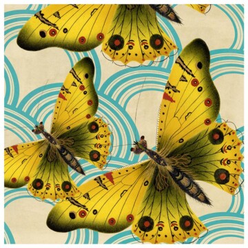 Yellow moths flying over a blue patterned background