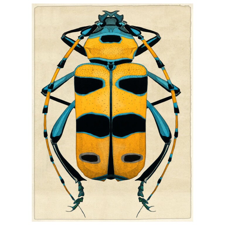 long antennae beetle in yellow and blue