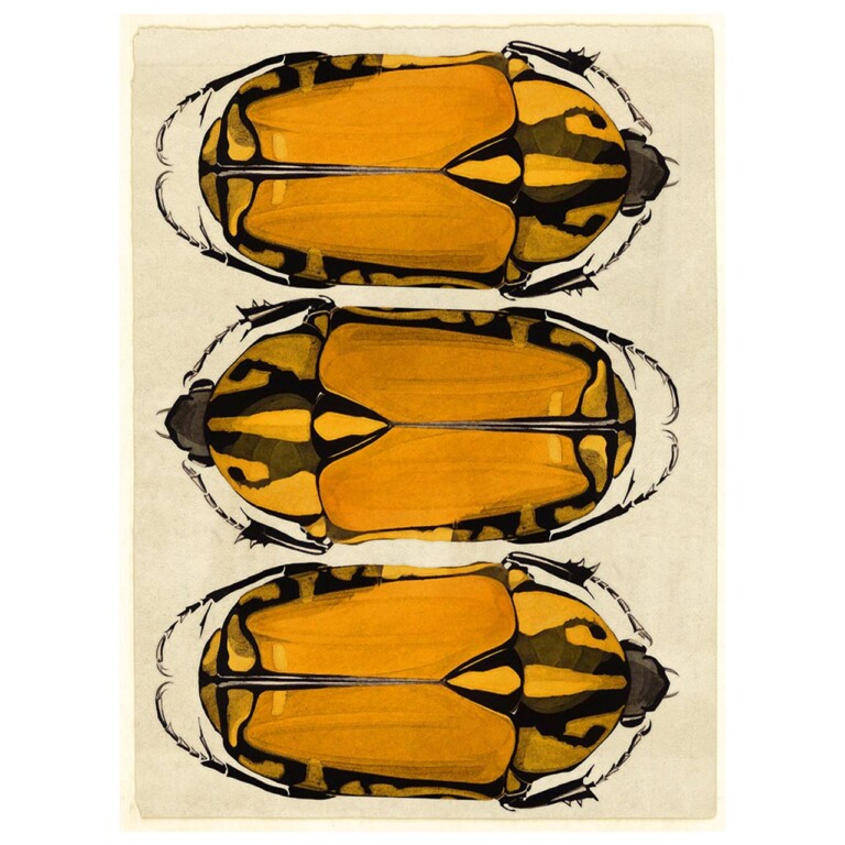 3 golden beetles