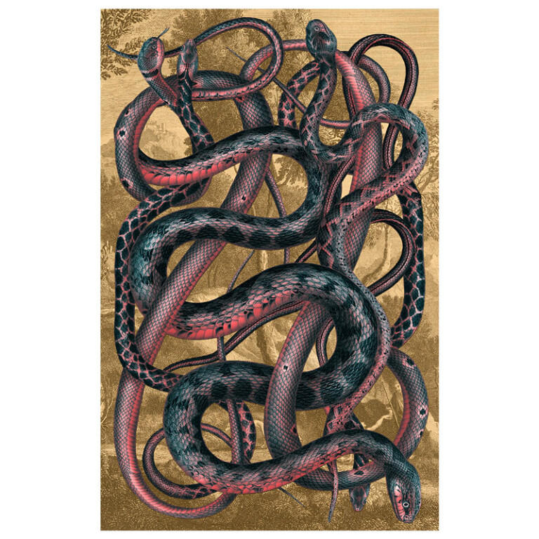 Coiled snakes in pinks and blue
