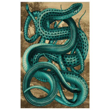 Garter Snakes coiled and writhing in teal