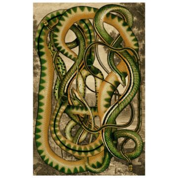 Adders coiled together in green on gold