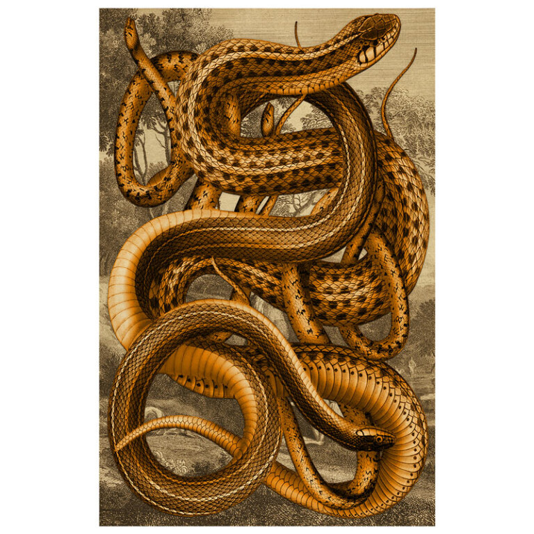 Garter Snakes coiled and writhing in gold