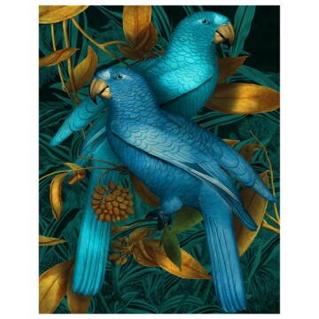 Pair of Spix's Macaw parrots in electric blue