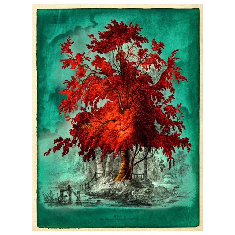 Birch tree coloured burnt orange and vivd red against a teal background.