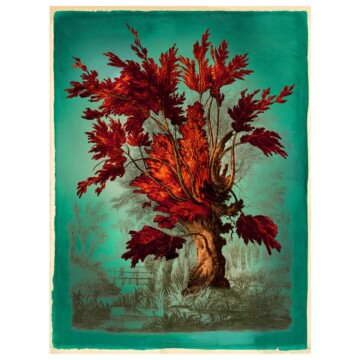 Willow tree coloured burnt orange and vivd red against a teal background.