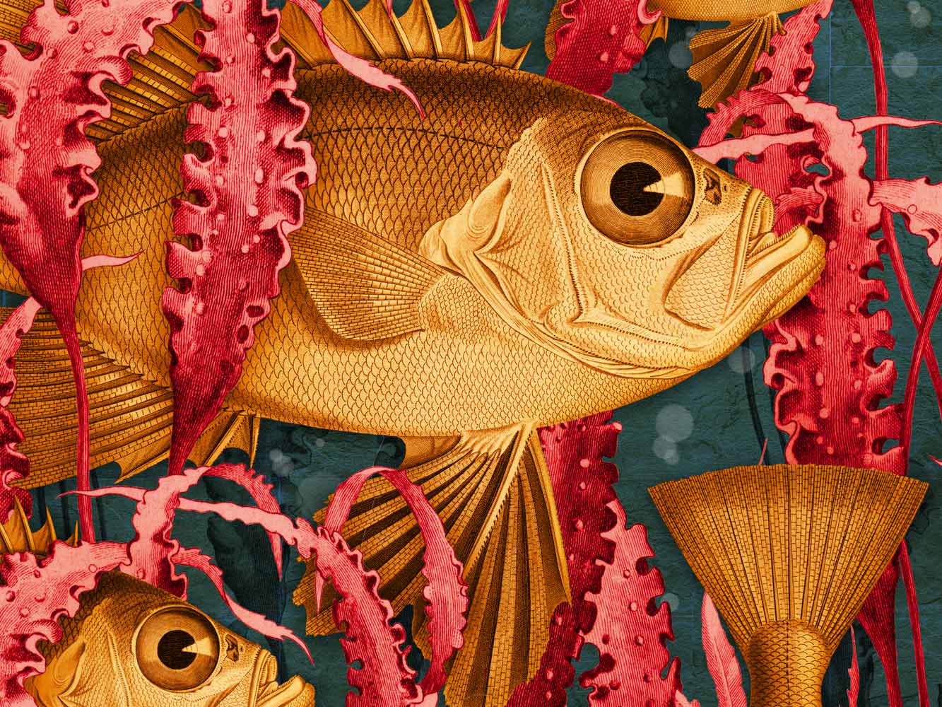 Glass Eye Fish Aqua colourway artwork detail
