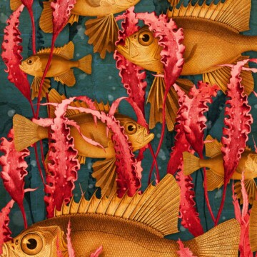 Glass eye fish aqua wallpaper colourway