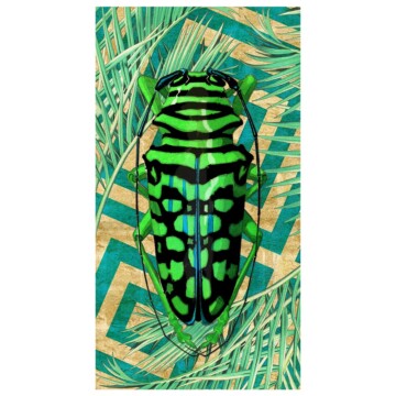 Beetle – Green and Black image