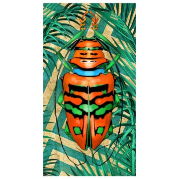 Beetle, Orange image