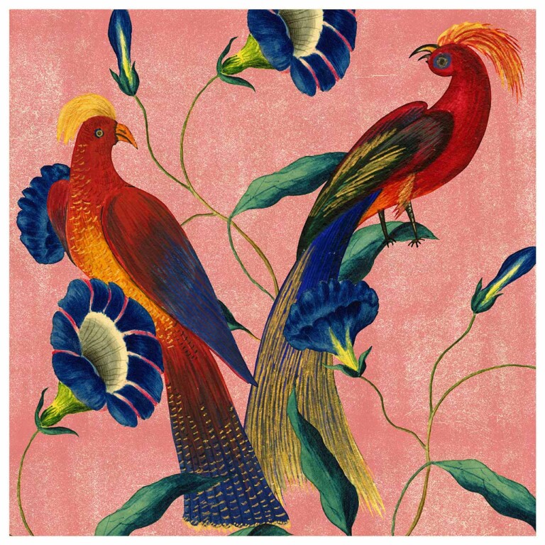 Pair of multicoloured birds set against soft blush pink background and blue florals