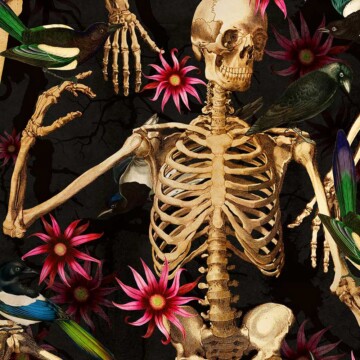 Voodoo Bones image