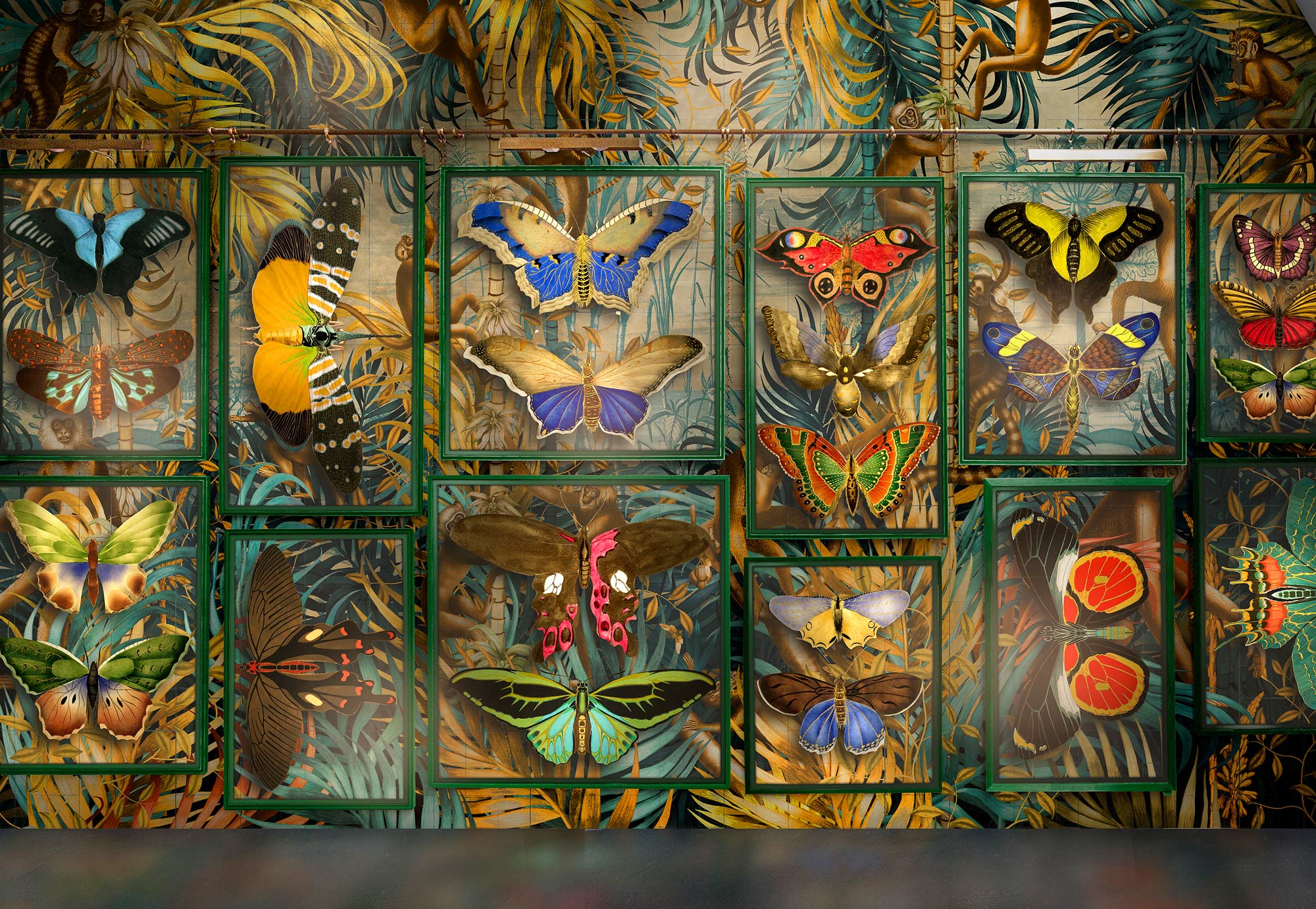 Gallery wall with butterfly clear glaze artwork hanging in front of Moonlight Monkeys wallpaper design