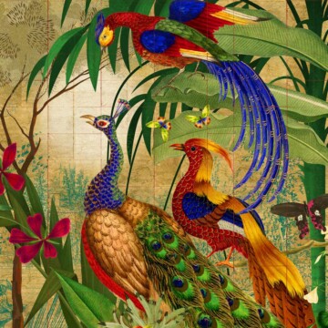 Peafowl Paradise image