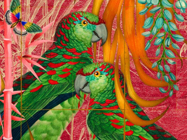 Detail of green parrot head with red feather details and golden eyes