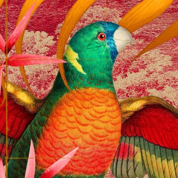 Detail of parrots from our New World wallpaper design