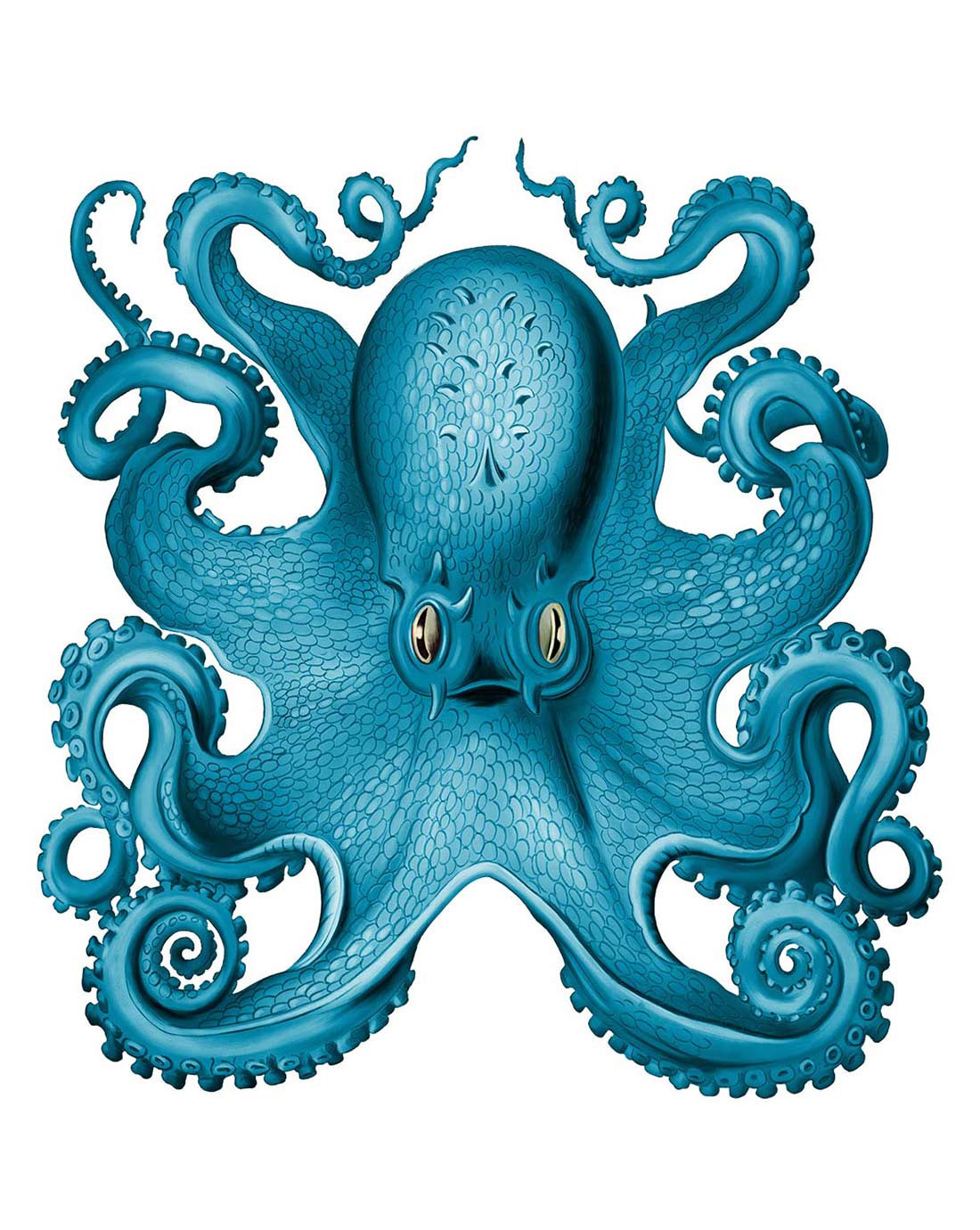 Our bespoke illustration of an Octopus with details tentacles in vivid blue
